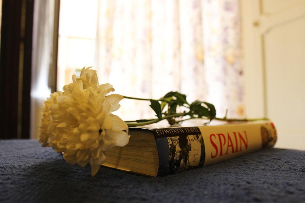 Hostal Lis Seville Luaran gambar